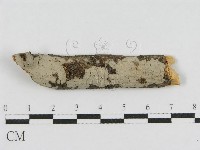 登錄號:F0010472藏品圖，第1張