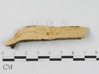登錄號:F0010472藏品圖，第3張