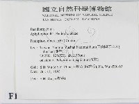 登錄號:F0010473藏品圖，第2張