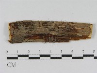 登錄號:F0010473藏品圖，第1張