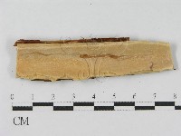 登錄號:F0010473藏品圖，第3張