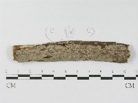 登錄號:F0010474藏品圖，第1張