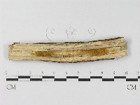 登錄號:F0010474藏品圖，第3張