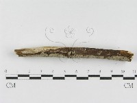 登錄號:F0010474藏品圖，第4張
