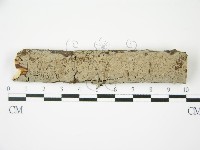 登錄號:F0010475藏品圖，第1張