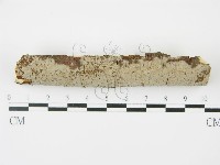 登錄號:F0010475藏品圖，第3張