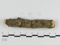 登錄號:F0010476藏品圖，第1張