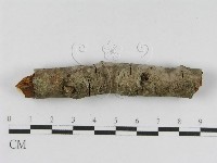 登錄號:F0010476藏品圖，第4張