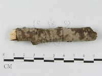 登錄號:F0010476藏品圖，第6張