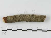 登錄號:F0010476藏品圖，第8張