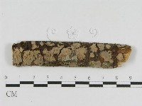 登錄號:F0010477藏品圖，第1張