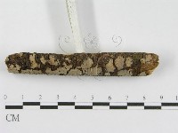 登錄號:F0010477藏品圖，第4張