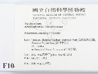 登錄號:F0010478藏品圖，第2張