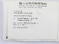 登錄號:F0010479藏品圖，第2張