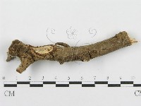 登錄號:F0010479藏品圖，第3張