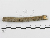 登錄號:F0010480藏品圖，第3張