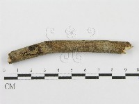 登錄號:F0010480藏品圖，第4張