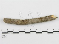 登錄號:F0010480藏品圖，第5張