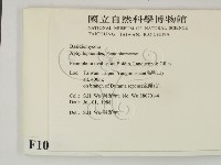 登錄號:F0010481藏品圖，第2張