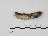 登錄號:F0010481藏品圖，第1張