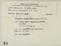登錄號:F0010482藏品圖，第2張