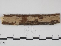 登錄號:F0010482藏品圖，第1張