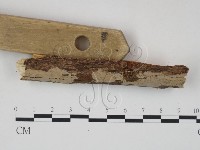 登錄號:F0010482藏品圖，第3張