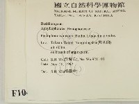 登錄號:F0010483藏品圖，第2張