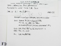 登錄號:F0010484藏品圖，第2張