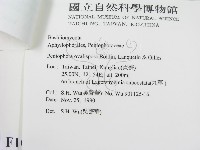 登錄號:F0010484藏品圖，第3張