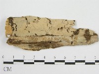登錄號:F0010484藏品圖，第1張