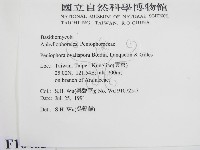登錄號:F0010485藏品圖，第2張