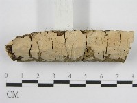 登錄號:F0010485藏品圖，第3張