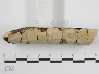 登錄號:F0010485藏品圖，第4張