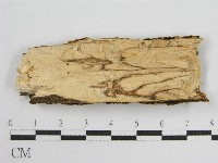 登錄號:F0010485藏品圖，第5張