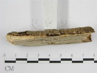 登錄號:F0010485藏品圖，第6張