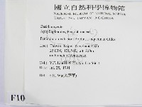 登錄號:F0010486藏品圖，第2張