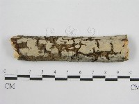 登錄號:F0010486藏品圖，第1張