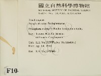 登錄號:F0010487藏品圖，第2張