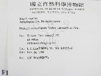 登錄號:F0010489藏品圖，第2張