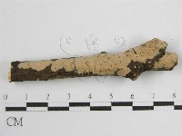 登錄號:F0010489藏品圖，第1張
