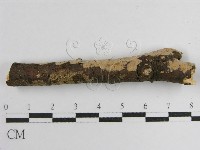 登錄號:F0010489藏品圖，第5張