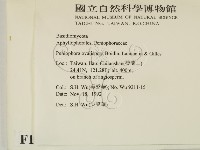 登錄號:F0010490藏品圖，第2張