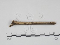 登錄號:F0010490藏品圖，第1張