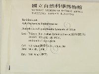 登錄號:F0010491藏品圖，第2張