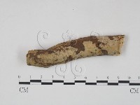 登錄號:F0010491藏品圖，第1張