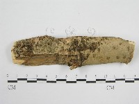 登錄號:F0010492藏品圖，第1張