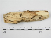 登錄號:F0010492藏品圖，第3張