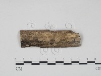 登錄號:F0010493藏品圖，第1張