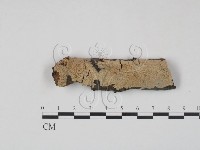 登錄號:F0010494藏品圖，第1張